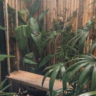 Hidden Tree Garden Specialty Coffee & Matcha