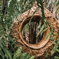 Hidden Tree Garden Specialty Coffee & Matcha