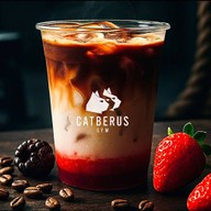 Catberus specialty coffee