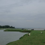 เขื่อนป่าสักชลสิทธิ์