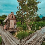 กระเพรา & coffee