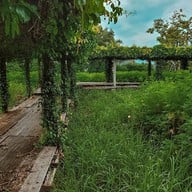 กระเพรา & coffee