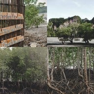 หาดไร่เลย์