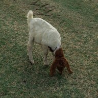 เขื่อนป่าสักชลสิทธิ์