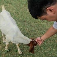 เขื่อนป่าสักชลสิทธิ์