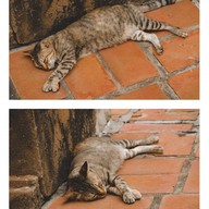 พระนารายณ์ราชนิเวศน์