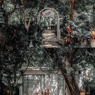 บ้านนากาแฟ