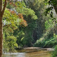 The Scenery Vintage Farm And Resort