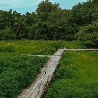 กระเพรา & coffee