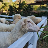 The Scenery Vintage Farm And Resort