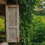 กระเพรา & coffee