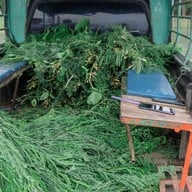 เขื่อนป่าสักชลสิทธิ์