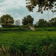 กระเพรา & coffee