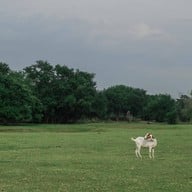 เขื่อนป่าสักชลสิทธิ์