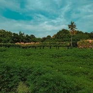 กระเพรา & coffee