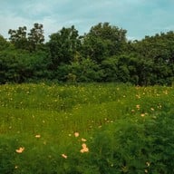 กระเพรา & coffee