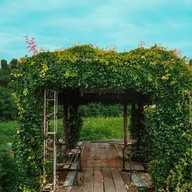 กระเพรา & coffee