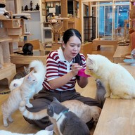 Catsmile_Cafe - แคทสมายคาเฟ่แมว บ็อคซ์ สเปซ รัชโยธิน
