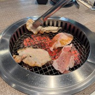 Seinikuten อารีย์