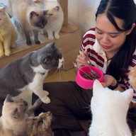 Catsmile_Cafe - แคทสมายคาเฟ่แมว บ็อคซ์ สเปซ รัชโยธิน
