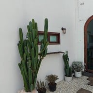 Liebe Coffee & Roastery