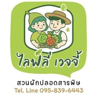ผักสลัด สวน ไลฟ์ลี่ เวจจี้