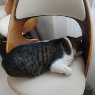 Liebe Coffee & Roastery