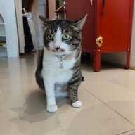 Liebe Coffee & Roastery