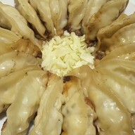 GYOZA 428