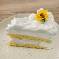 WHITE CACTUS Sai Noi