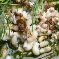 AKKEE Thai Delicacies & Tasting Counter (อัคคี) AKKEE Thai Delicacies & Tasting Counter (อัคคี)