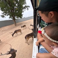 บรรยากาศ Safari Park สวนสัตว์เปิดซาฟารีปาร์ค กาญจนบุรี