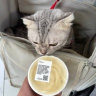 Away Bangkok Riverside Kene