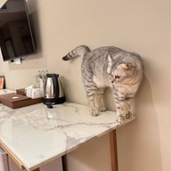 Away Bangkok Riverside Kene