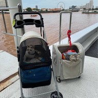 Away Bangkok Riverside Kene