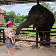 บรรยากาศ Safari Park สวนสัตว์เปิดซาฟารีปาร์ค กาญจนบุรี