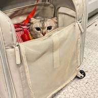 Away Bangkok Riverside Kene