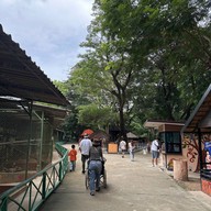 บรรยากาศ Safari Park สวนสัตว์เปิดซาฟารีปาร์ค กาญจนบุรี