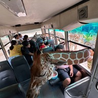 บรรยากาศ Safari Park สวนสัตว์เปิดซาฟารีปาร์ค กาญจนบุรี