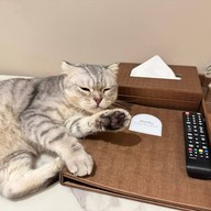 Away Bangkok Riverside Kene