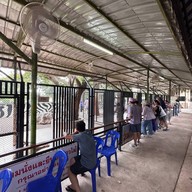 บรรยากาศ Safari Park สวนสัตว์เปิดซาฟารีปาร์ค กาญจนบุรี