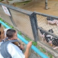 Bonanza Exotic Zoo