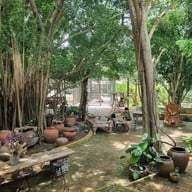 Buffalo Market Ratchaburi