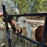 Bonanza Exotic Zoo