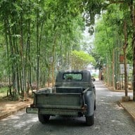Buffalo Market Ratchaburi