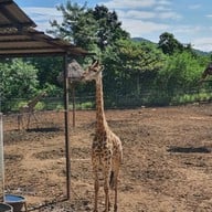 Bonanza Exotic Zoo