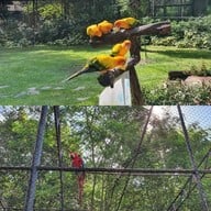 Bonanza Exotic Zoo
