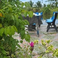 ร้านอาหารบ้านสวนบ่อปลานาข้าว