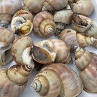 บางลิ้นซีฟู๊ด บ่อสร้าง