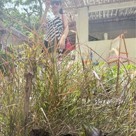 Ka-Nom-Jin Coffee & Eatery Ka-Nom-Jin Coffee & Eatery